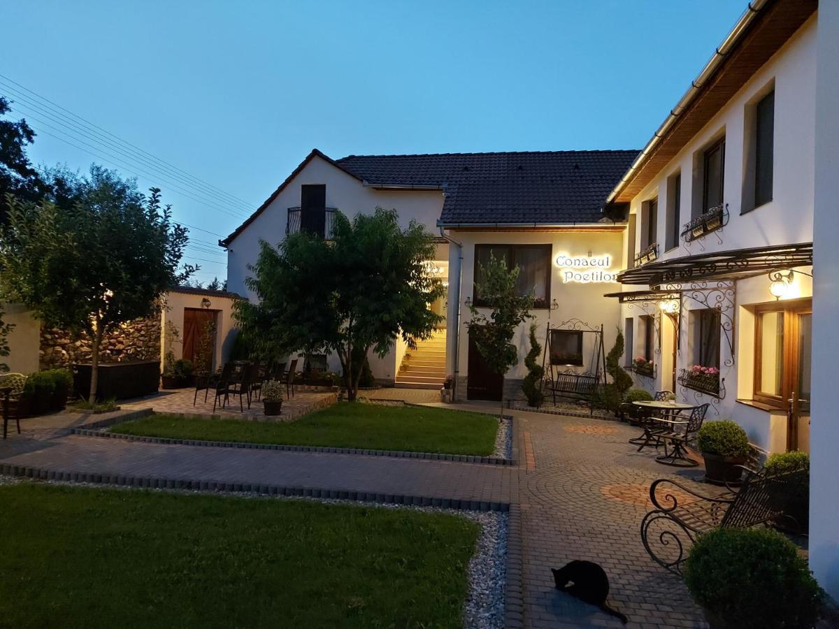 Conacul Poetilor Hotel Gura Raului Exterior photo